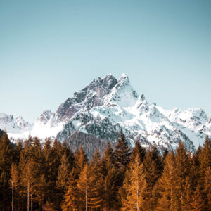 landscape stock wall art 81