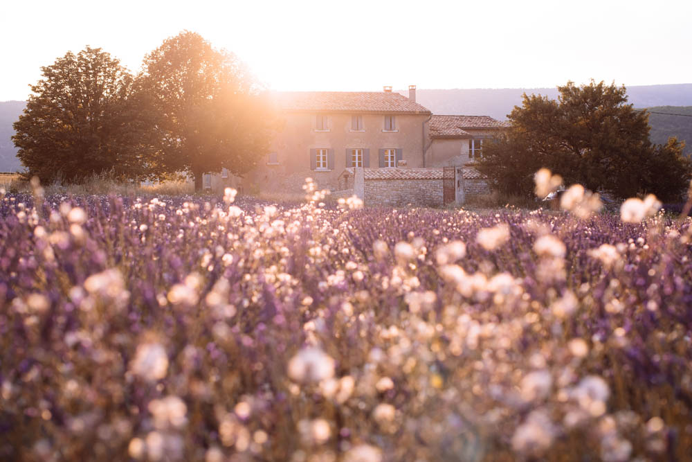 landscape stock wall art 93