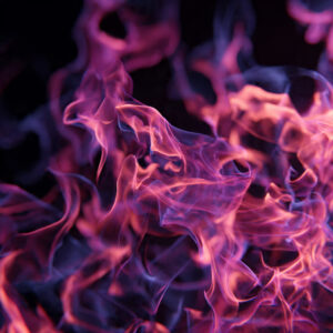 natural elements stock wall art 15