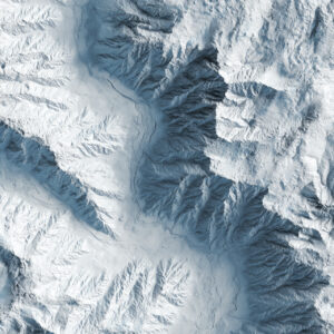 natural elements stock wall art 27