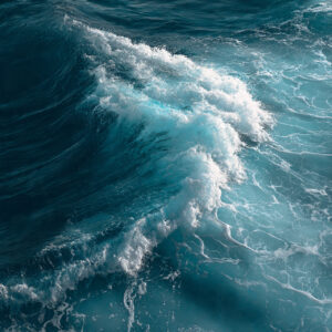 natural elements stock wall art 33