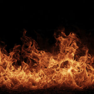 natural elements wall art 5