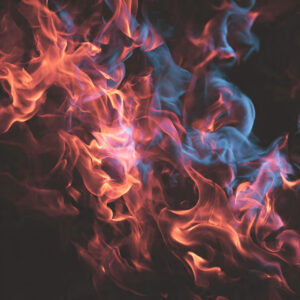 natural elements stock wall art 67