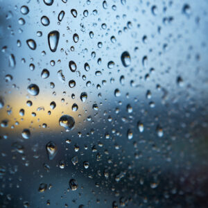 natural elements stock wall art 68