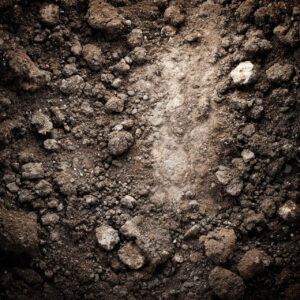 natural elements stock wall art 69