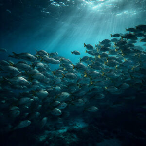 nautical stock wall art 34