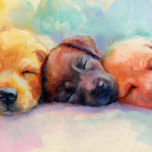 nursery and kids stock wall art 19