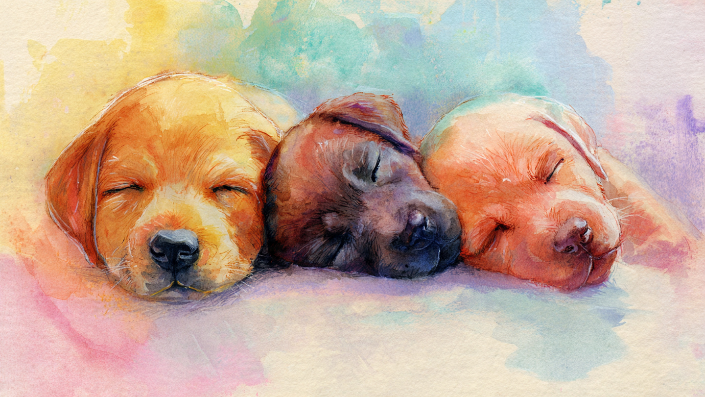 nursery and kids stock wall art 19