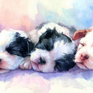 nursery and kids stock wall art 26