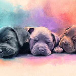 nursery and kids stock wall art 30