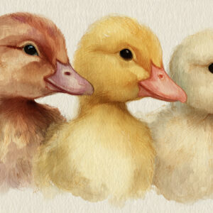 nursery and kids stock wall art 64