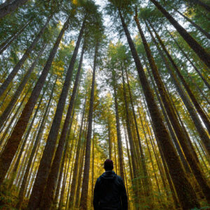 Serenity wellness stock wall art 60