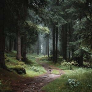 Serenity wellness stock wall art 71