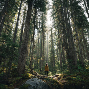 Serenity wellness stock wall art 88