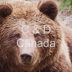 Wildlife Stock Art 30