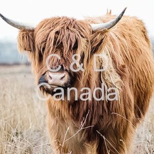 Wildlife Stock Art 35