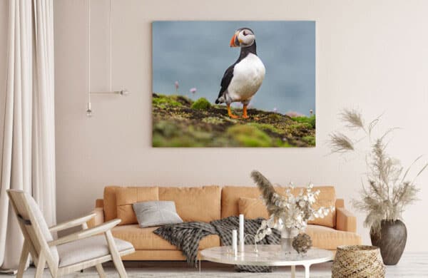 Tips on Buying the Best Canvas Print Size for Your Photo & Space