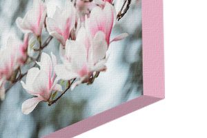 canvas print from photo with custom colored border