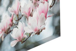 canvas photo print with photo wrap