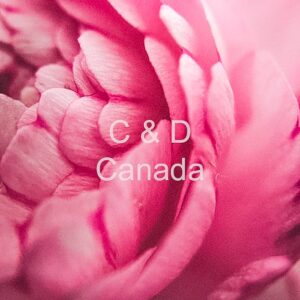 Flower Stock Art 46