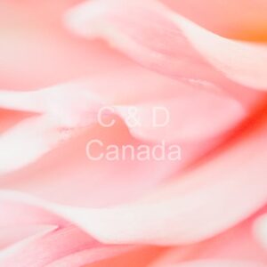 Flower Stock Art 49