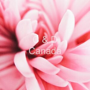 Flower Stock Art 50