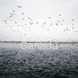 Landscape Stock Art 61