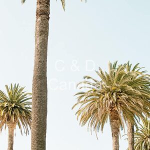 Landscape Stock Art 70