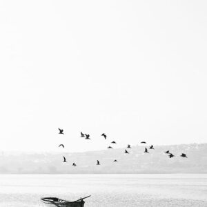 Landscape Stock Art 73