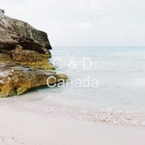 Landscape Stock Art 76