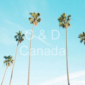 Landscape Stock Art 78