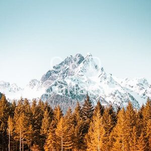 Landscape Stock Art 81