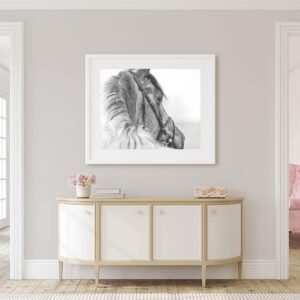 Wall Art Prints
