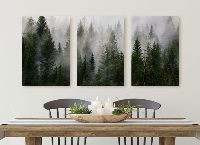 Photo of forest in United States printed on 3-panel split canvas print